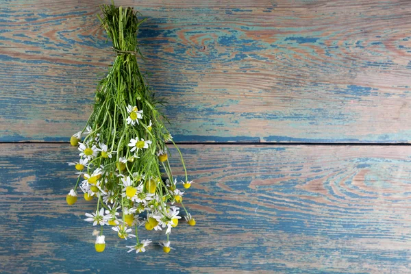 Ahşap arka planda papatya çiçekleri