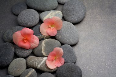 Siyah arkaplanda spa taşları. 