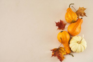 Dekoratif balkabaklarından sonbahar tatili çerçevesi, üst manzara. Şükran Günü, hasat, sonbahar ve sonbahar geçmişi.
