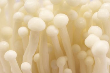 Yumuşak, kremsi renkleri ve hassas atmosferi olan enoki mantarlarının yakın plan görüntüsü..