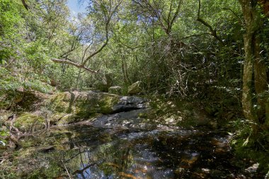 Uruguay dağlarında yürümek ve eğlenmek için güzel doğal yerler.