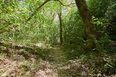 Uruguay dağlarında yürümek ve eğlenmek için güzel doğal yerler.
