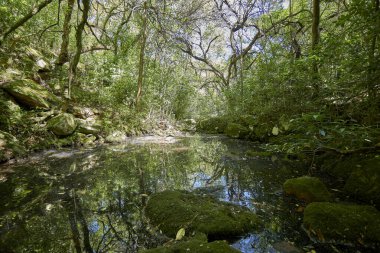 Uruguay dağlarında yürümek ve eğlenmek için güzel doğal yerler.