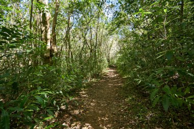 Uruguay dağlarında yürümek ve eğlenmek için güzel doğal yerler.