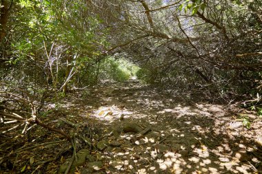 Uruguay dağlarında yürümek ve eğlenmek için güzel doğal yerler.