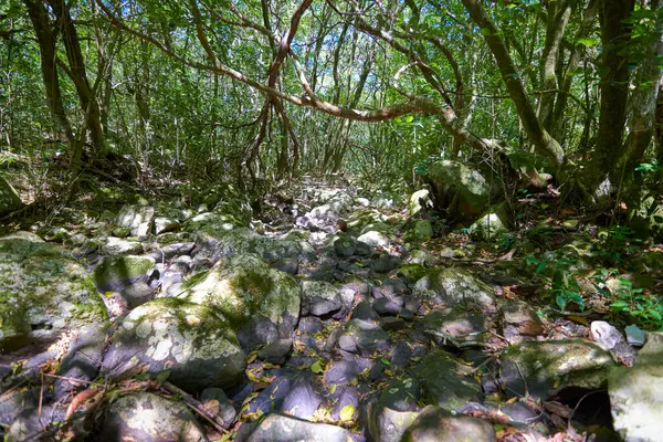 Schöne Natürliche Orte Zum Wandern Und Genießen Den Bergen Uruguays — Stockfoto