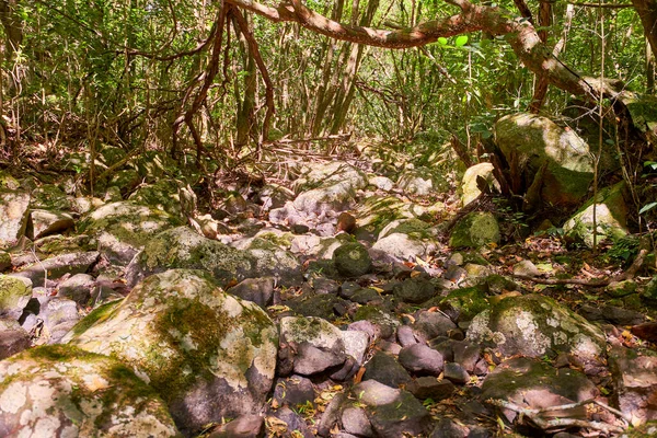 Schöne Natürliche Orte Zum Wandern Und Genießen Den Bergen Uruguays — Stockfoto