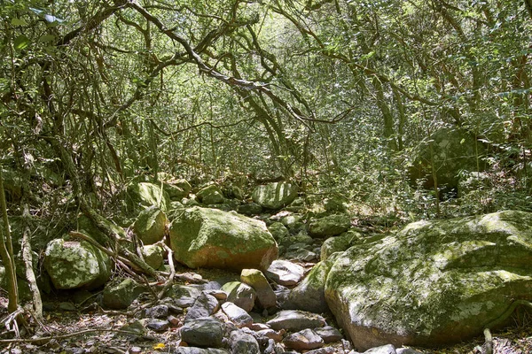 Όμορφα Φυσικά Μέρη Για Περπατήσετε Και Απολαύσετε Στα Βουνά Της — Φωτογραφία Αρχείου