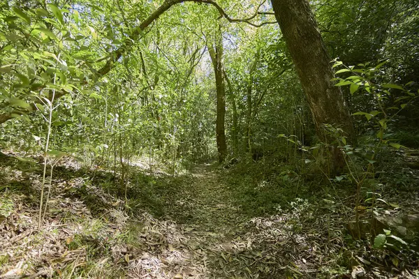 Uruguay dağlarında yürümek ve eğlenmek için güzel doğal yerler.