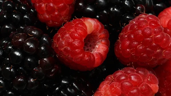 Fresh Healthy Berries Diet — Stock Photo, Image