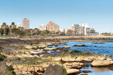 Uruguay kıyısında sakin bir günde rıhtım