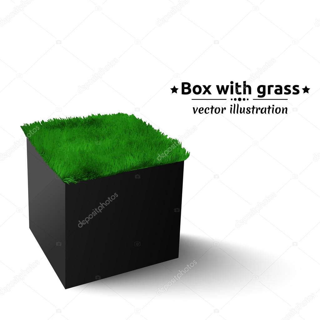 Black box with green grass