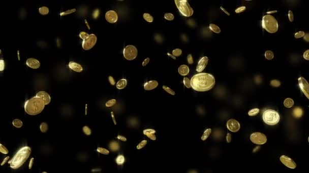 Chute des pièces d'or avec symbole dollar. Animation en boucle — Video