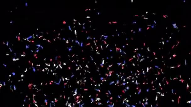 Blaurot Weißes Konfetti Verschiedenen Formen Explodiert Und Fällt Auf Einen — Stockvideo