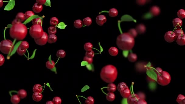 Rote Kirschen Fallen Langsam Auf Einen Transparenten Hintergrund Loopte Animation — Stockvideo