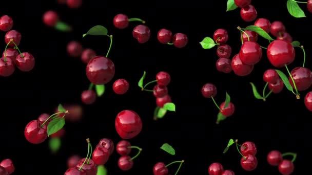 Cerezas rojas cayendo lentamente sobre un fondo transparente. Animación Looped 4k con profundidad de campo. — Vídeos de Stock