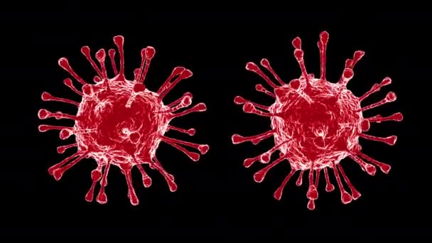 Coronavirus Rojo Giratorio Sobre Fondo Negro Virus Neumonía Covid H1N1 — Vídeo de stock