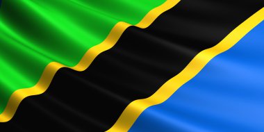 Tanzanya bayrağı.