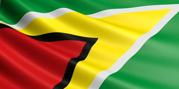 Vlag van Guyana. — Stockfoto