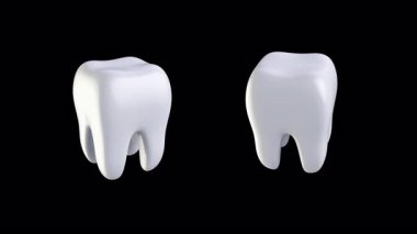 Dönen bir çizgi film dişinin kusursuz döngülü animasyonu. Şeffaf bir arkaplanda düzgün bir döngü animasyonu. Pro Res 4444.