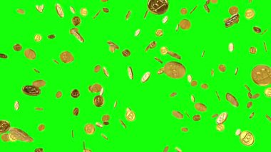 Altın Bitcoinler yeşil arka planda yavaşça tepeden tırnağa düşüyorlar. Kusursuz animasyon.