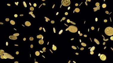 Altın Bitcoinler şeffaf arkaplanda yavaşça tepeden tırnağa düşüyorlar. Kusursuz animasyon.