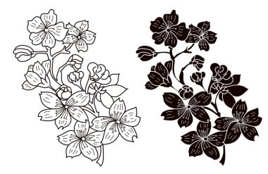 Beyaz üzerine kiraz ağacı dalı. Vektör illüstrasyonu Sakura Çiçeği, Güzel Şeftali Çiçeği izole vektörü. Japon çiçekleri..