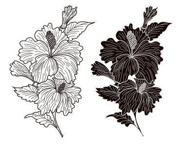 Hibiscus çiçek vektörü. Japon amber çiçeği dövmesi..