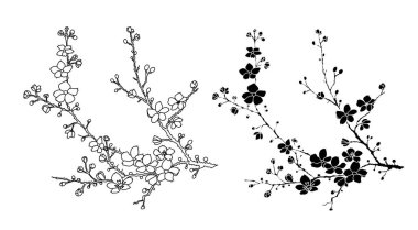 Serbest el Sakura çiçek vektörü seti, Güzel çizgi sanatı Şeftali çiçeği beyaz arka planda izole edilir