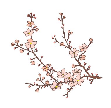 Serbest el Sakura çiçek vektörü seti, Güzel çizgi sanatı Şeftali çiçeği beyaz arka planda izole edilir