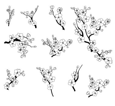 Serbest el Sakura çiçek vektörü seti, Güzel çizgi sanatı Şeftali çiçeği beyaz arka planda izole edilir