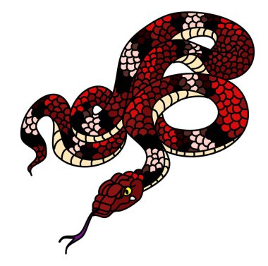 Kırmızı yılan vektörü. Lampropeltis triangulum vektörü. Dövme için kalp ve el yapımı yılan..