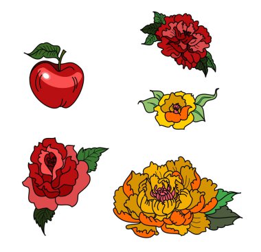 Gül ve Şakayık çiçekli elma meyvesi beyaz arka planda izole edilir. Dövme için güzel bir çiçek..