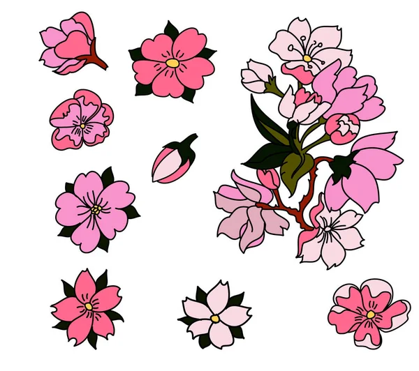 Branch Cherry Flossom White Vector Illustration Sakura Flower Nice Peach — стоковий вектор