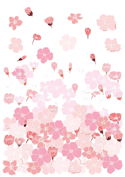 Conjunto Vectores Flores Sakura Mano Libre Hermoso Arte Línea Flor — Archivo Imágenes Vectoriales