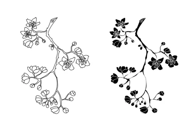 Freie Hand Sakura Blume Vektor Set Schöne Linie Kunst Pfirsichblüten — Stockvektor