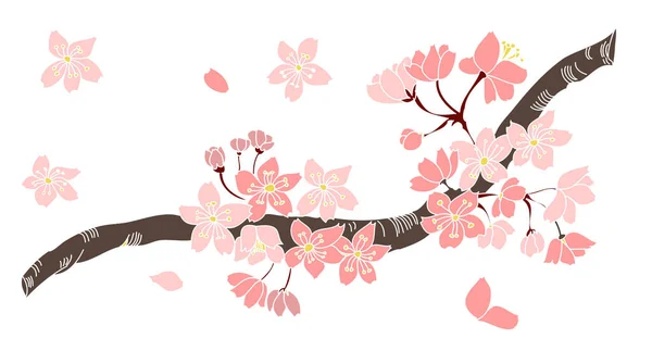 Conjunto Vectores Flores Sakura Mano Libre Hermoso Arte Línea Flor — Vector de stock