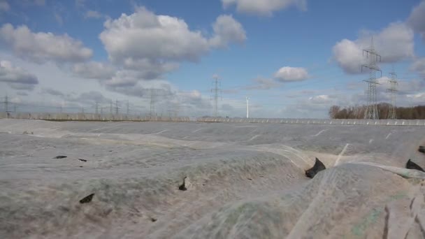 Field covered with plastic foil at sunny windy day — Stock Video