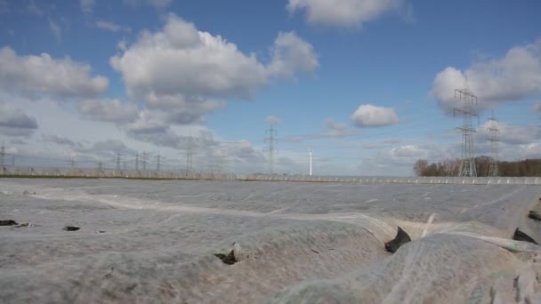 Campo coperto con pellicola di plastica in giornata soleggiata ventosa — Video Stock