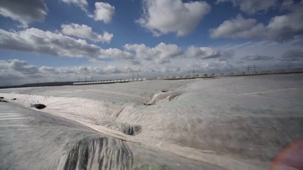 Feld bei sonnigem, windigem Tag mit Plastikfolie abgedeckt — Stockvideo