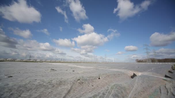 Feld bei sonnigem, windigem Tag mit Plastikfolie abgedeckt — Stockvideo