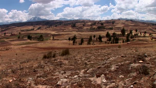 Vue sur les champs et les arbres dans les Andes — Video