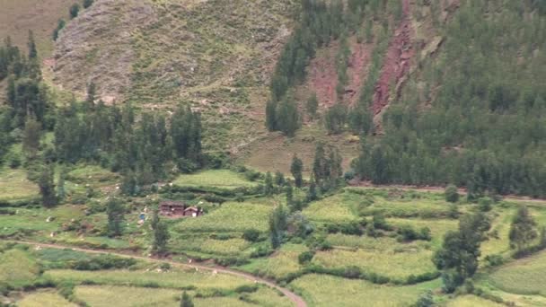 Inca ruins in the sacred valley — Stock Video