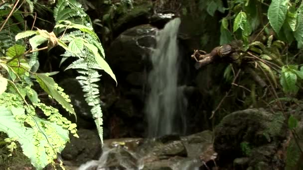 アンデス山脈の雨の後の小さな滝 — ストック動画