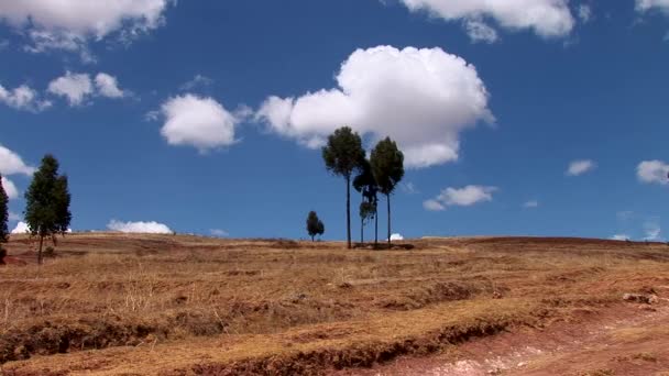 Vue sur les champs et les arbres dans les Andes — Video