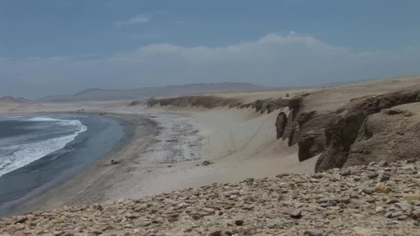 Paracas Національний парк — стокове відео