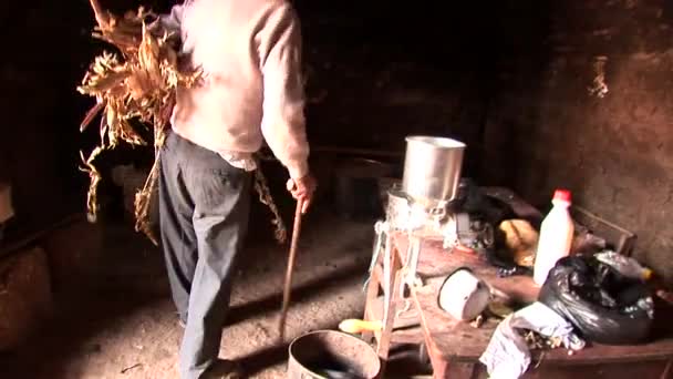 Farmer on a farm in the Andes — Stock Video