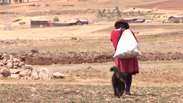 Mulher caminhando com um saco em uma fazenda — Vídeo de Stock