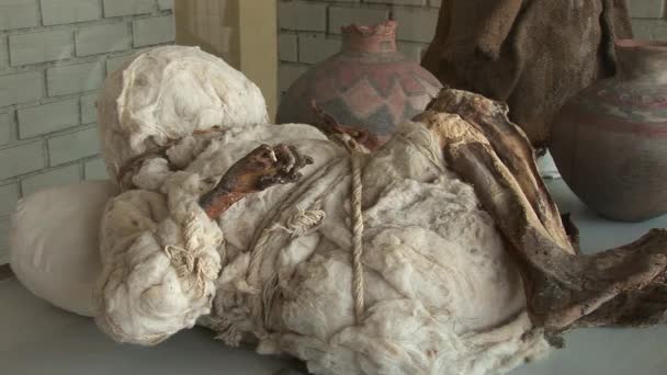 Mumie auf dem Chauchilla-Friedhof — Stockvideo