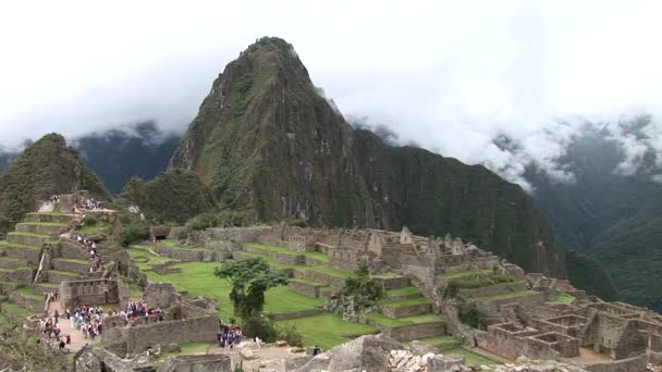 Historische heiligdom van Machu Picchu — Stockvideo